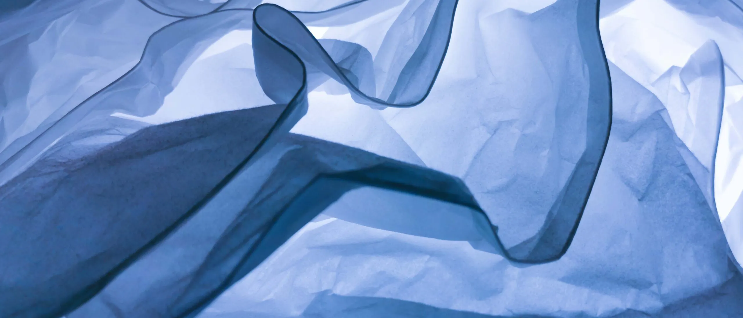 Daniele levis pelusi pAEwRKQJcn8 unsplash