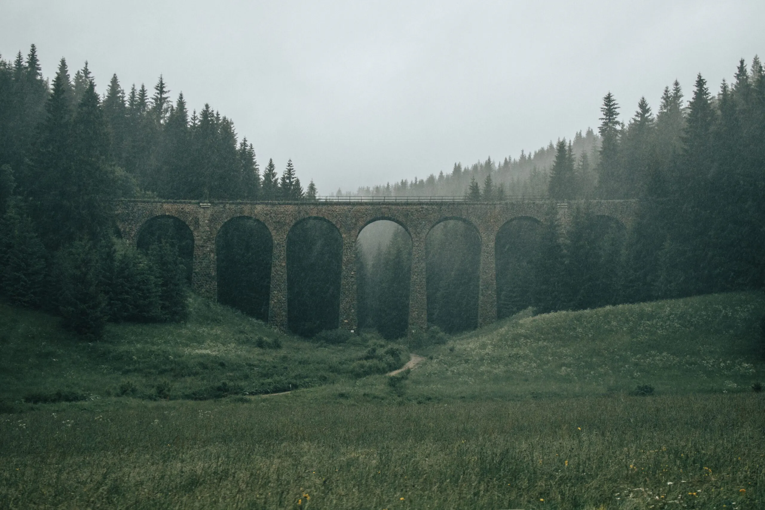 Daniel macura YpiT8ehY5ME unsplash