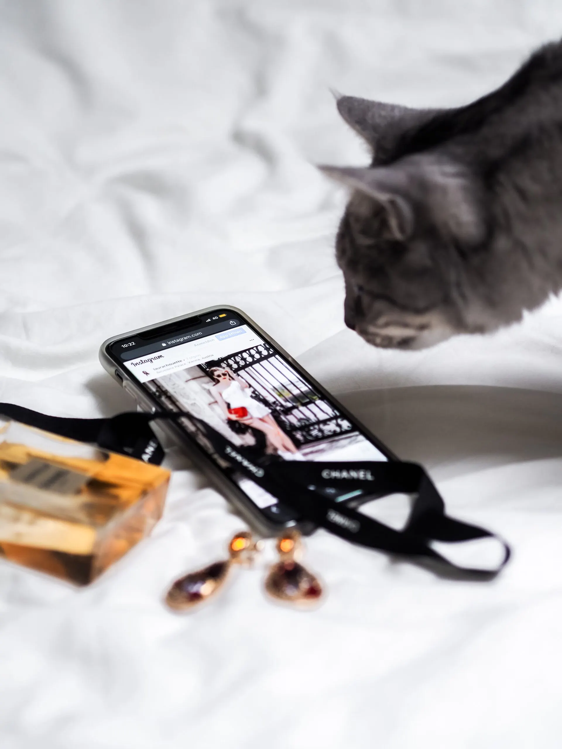 Laura chouette Qmzs43Sk4qk unsplash