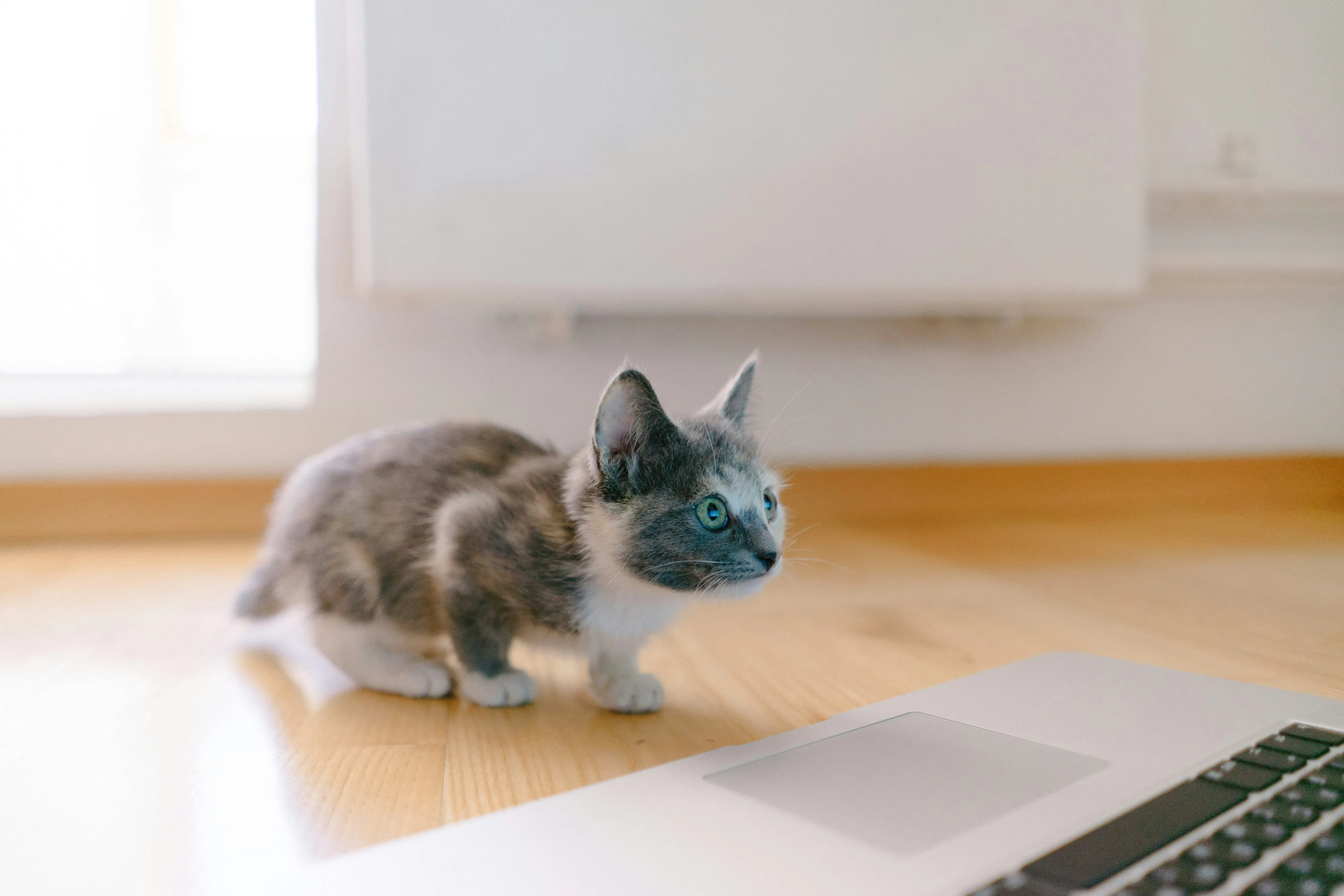 Riis riiiis g3b53pbbfwu unsplash